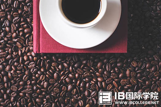 IB英语语法：as long as 与only if 辨析