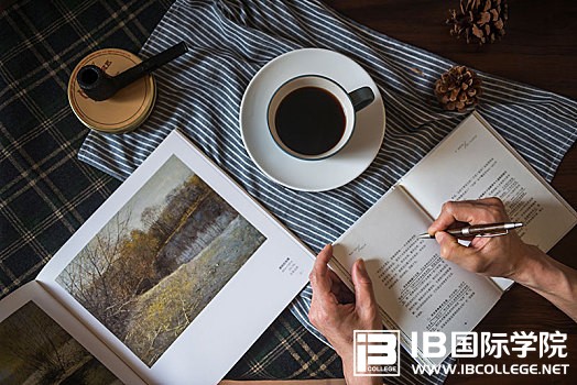 每日一题：IB物理基础练习（二）