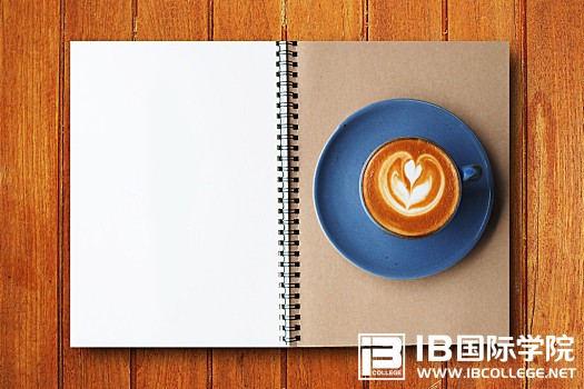 每日一题：IB物理基础练习（四）