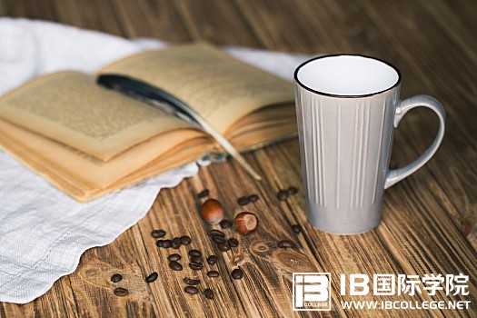 IB英语语法：名词作主语