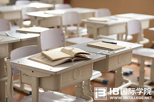 IB英语语法专练——情态动词（含解析）