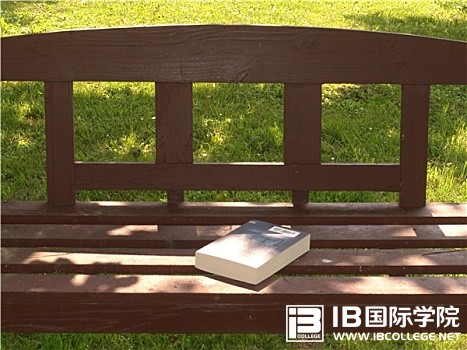 IB英语语法专练——情态动词（含解析）