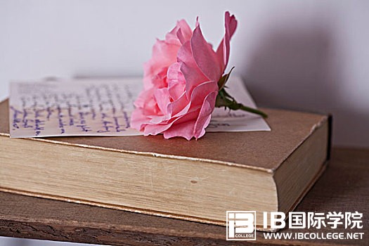 IB物理课程7分备考指南