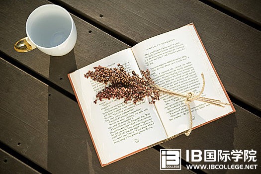 IB美国历史：高分必知的10个最高法院裁决考点