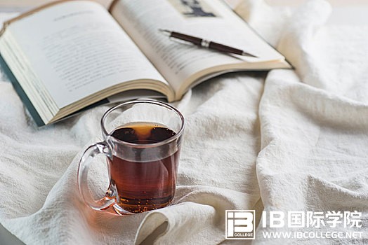 IB生物学中的氢键及其作用分析