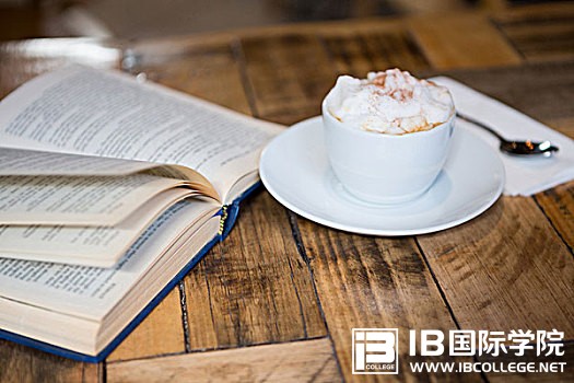 IB物理总结：静电场的基本规律解析