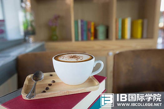 IB化学：酸的浓度不同，反应不同