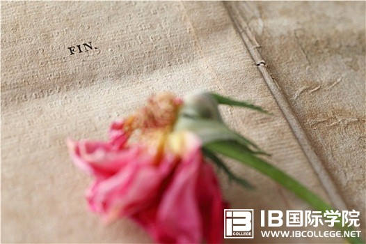 IB物理28个最佳突破口找到解题思路