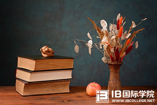 IB英语语法：动词不定式的用法