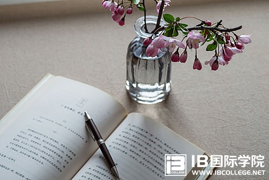 IB英语：fool与foolish的用法区别