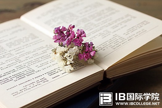 高分经验：如何学好IB物理？