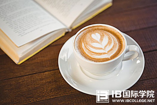 IB物理课程：“文字题”动词讲解