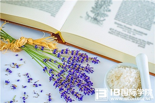 IB化学考点：离子共存知识点总结