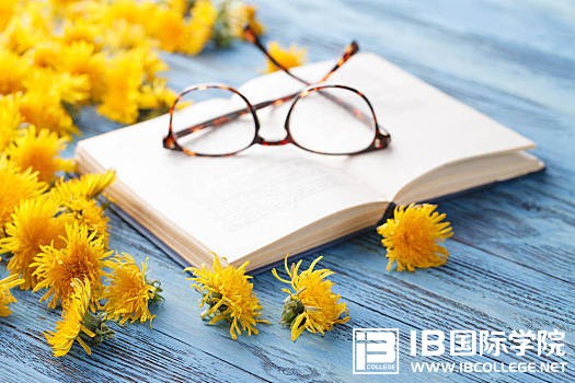 IB化学考点：离子共存知识点总结