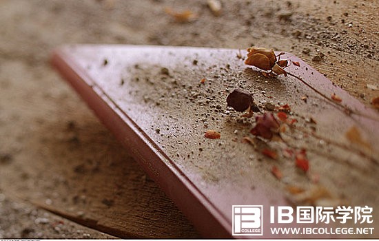   IBDP生物课程7分如何备考？