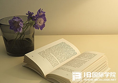 IB化学最容易丢分的30个地方