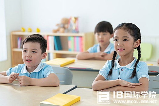 学好IB化学，学生需要具备什么能力？
