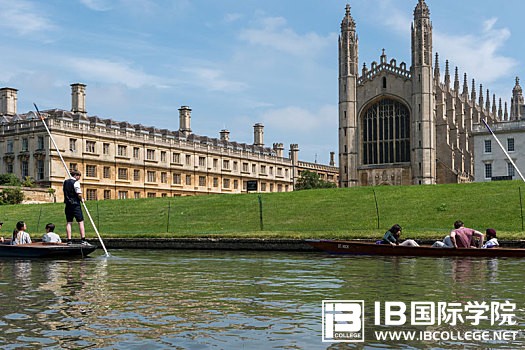 高分经验：IB生物课程的最佳学习三大方法