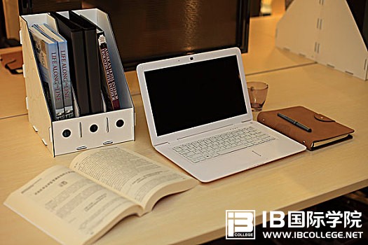 IB英语能力提升之翻译练习（一）