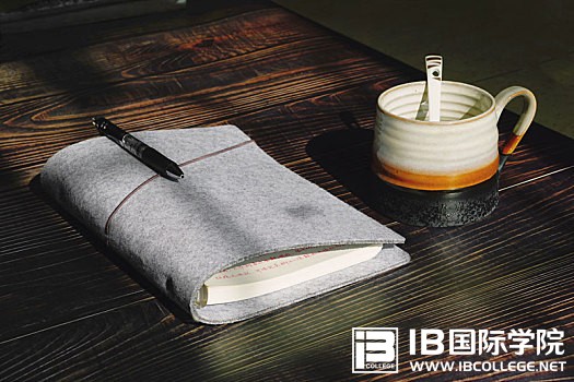 IB英语能力提升之翻译练习（四）