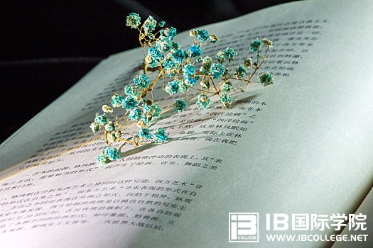 IB化学考试​审题时要注意的30条