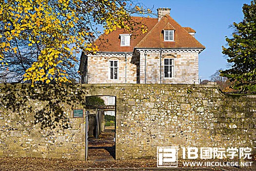 IB生物课程：40多个必知“特例”！