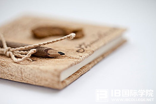 IB物理课程电流的磁效应知识点