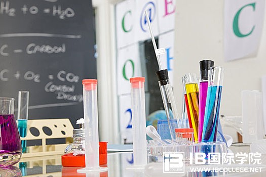 IB化学课程笔记：离子方程式书写技巧