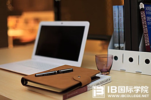 IB化学课程笔记：离子方程式书写技巧