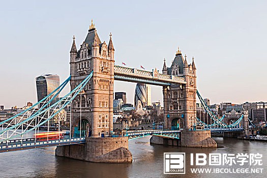 IB英语阅读：几种干扰项设置方法