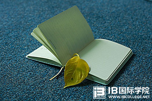 干货：IB英语阅读说明文结构讲解