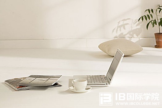 IB物理的常用方法、题型特点汇总