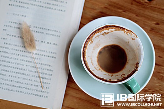 IB英语语法考点：如何确定which还是that？