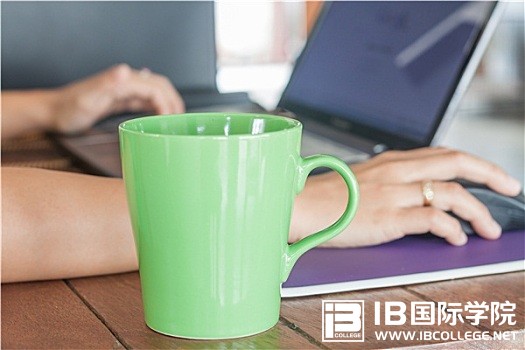 IB英语议论文的表达与写作