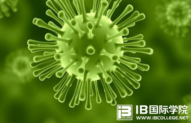 IB生物课程是否适合你？IB生物课程简介