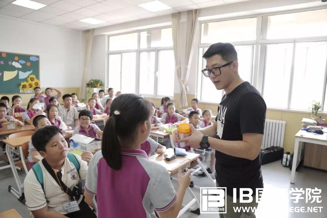 IB写作考试的提升技巧