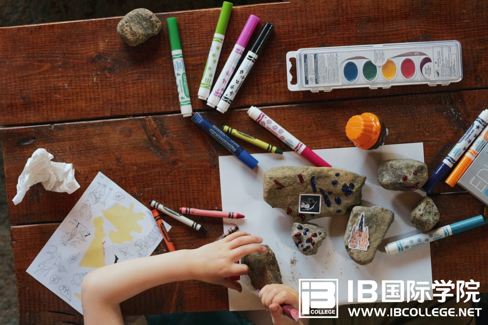 IB经济学课程的考试内容和学习重点