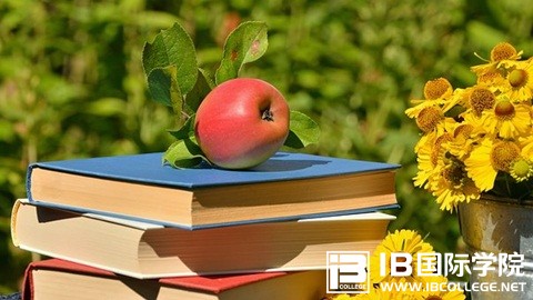 想拿IBDP经济学7分？微观经济学必备的20个定义！