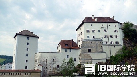 汇总IB生物41个细胞知识点