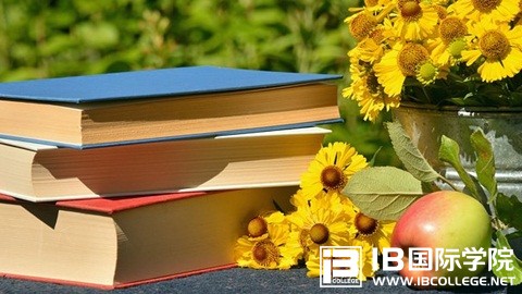 IB物理IA的主题如何确定？