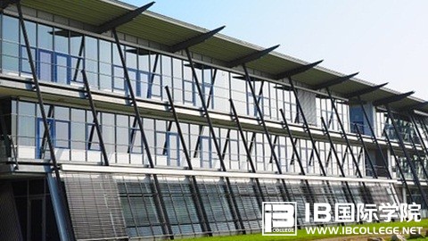 IBDP新生开学后这些真相必须知道！