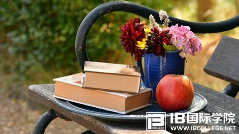 IBDP物理和AP物理课程有何不同？该如何选择？