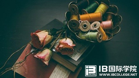 IB课程学习的误区，你要注意这些！