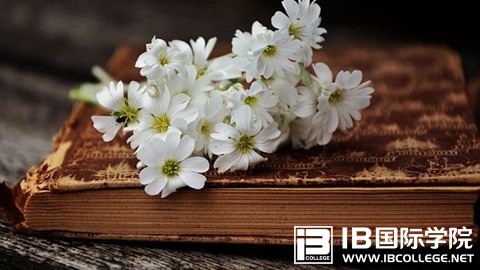 三大国际课程体系解析——IB课程详解！
