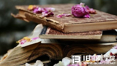 去新加坡留学，IB课程都有哪些优势？