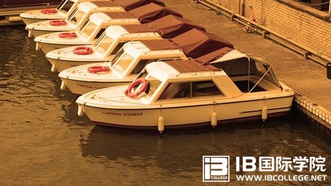 IB课程PYP课程的5个基本要素！