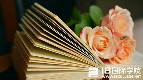 IB化学HL or SL如何选择？