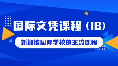 IB考试中的常见问题有哪些？