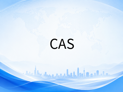 IBDP CAS暑期收尾与DP2秋季推进策略：从反思日志打磨到学习成果覆盖的实操路径