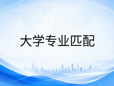 IBDP数学AA与AI选课路径全解析：从课程侧重到大学专业匹配的决策指南